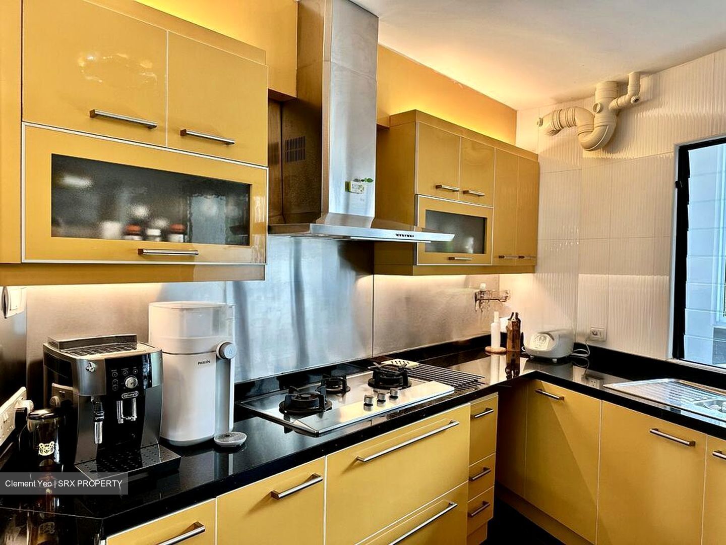 Blk 467 Segar Gardens (Bukit Panjang), HDB Executive #501159141